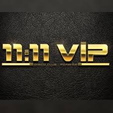 1111VIP Casino Logo